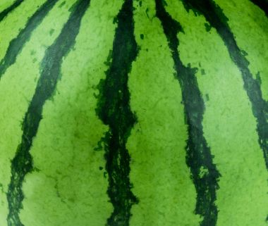 Yeşil karpuz arka plan