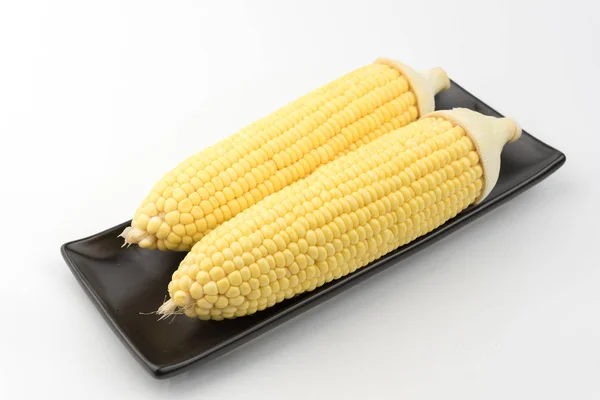 Corn isolated on a white background — Stock Photo, Image