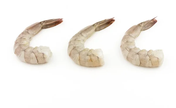 Syrové krmivo pro krevety — Stock fotografie