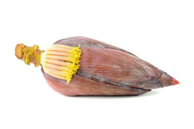 Beyaz arkaplanda yalıtılmış muz çiçeği