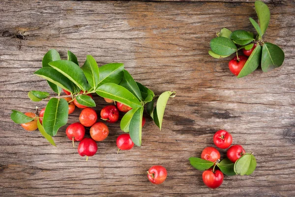 Acerola cherry (Malpighia emarginata) — Stock fotografie