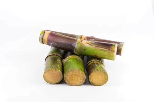 Close up of sugar cane in isolated white background — Stock Photo, Image