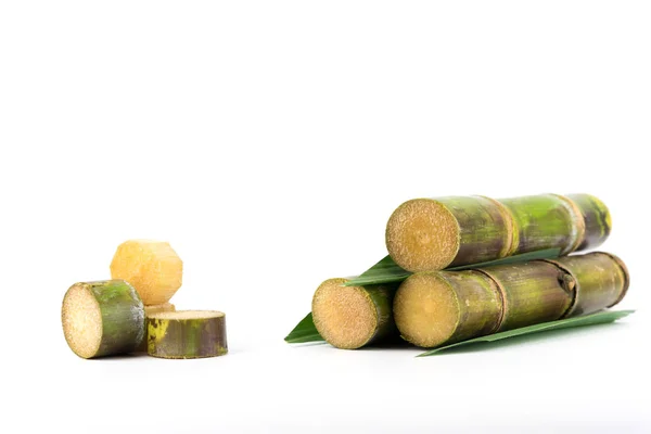 Close up of sugar cane in isolated white background — Stock Photo, Image