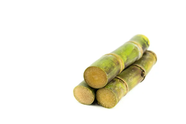 Close up of sugar cane in isolated white background — Stock Photo, Image