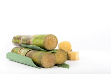 şeker kamışı izole beyaz arka planda yakın çekim