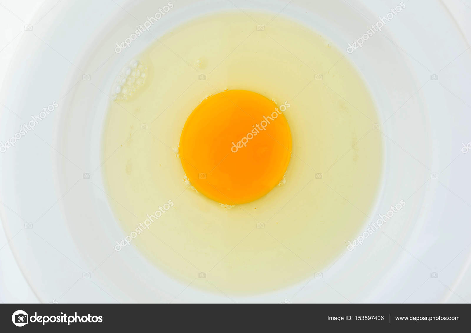 råa ägg protein råa ägg protein