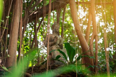 Tayland 'da Buda heykeli