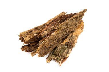 Bark tree isolated on white background,(nomnang)Thailand herbs ,Herbal breast milk