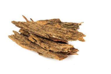 Bark tree isolated on white background,(nomnang)Thailand herbs ,Herbal breast milk