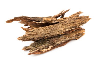 Bark tree isolated on white background,(nomnang)Thailand herbs ,Herbal breast milk