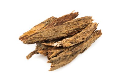 Bark tree isolated on white background,(nomnang)Thailand herbs ,Herbal breast milk