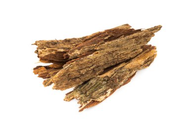 Bark tree isolated on white background,(nomnang)Thailand herbs ,Herbal breast milk