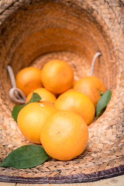 Fresh Oranges fruit country background
