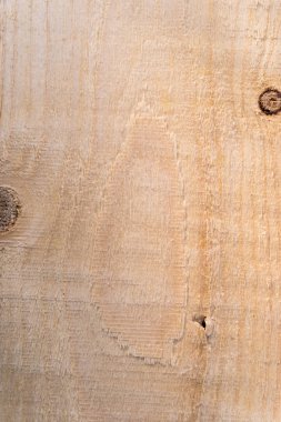 Texture wood background closeup