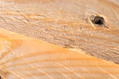 Wood Background Texture Closeup