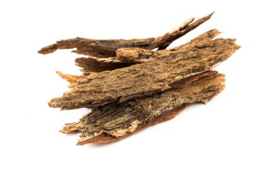 Bark tree isolated on white background,(nomnang)Thailand herbs ,Herbal breast milk