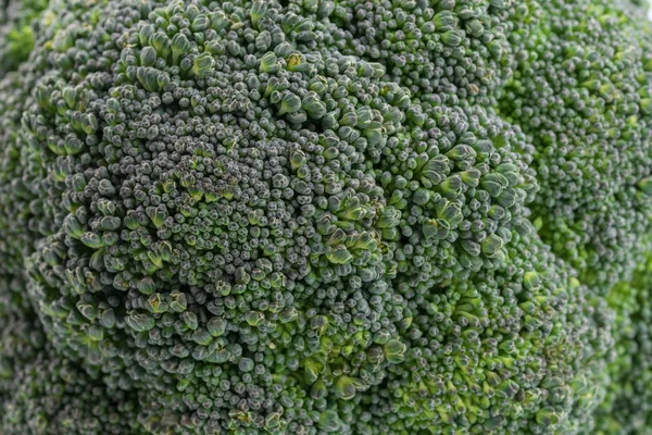 Fondo de textura de brócoli — Foto de Stock