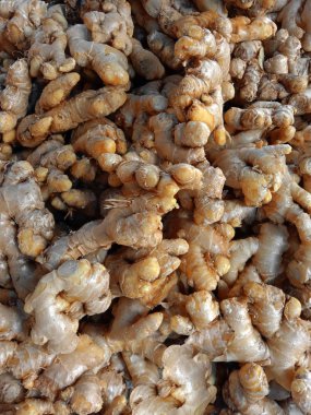 Taze aromalı olgun ham baharatlı zencefil.