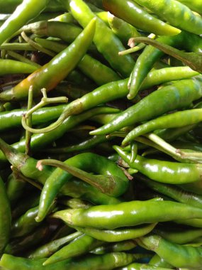 taze baharatlı yeşil biber.