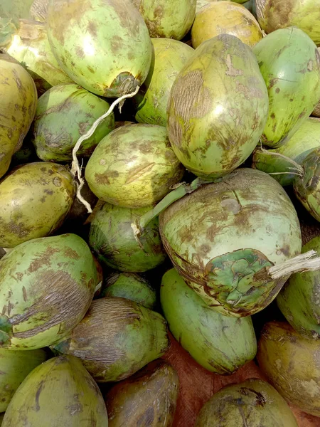 Fresh and sweet raw coconuts — 스톡 사진