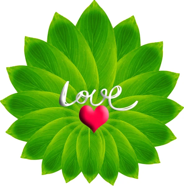 Love shape  and leaves background — Stock Photo, Image