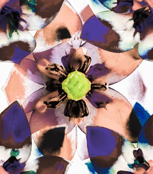 Bunte Nahtlose Blumenmuster — Stockfoto