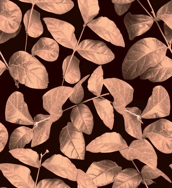 Copper colored Dark black background colored leaves seamless pattern