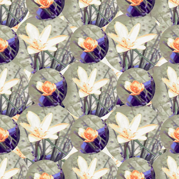 Zephyranthes Kwiat Cytryny Bezszwowy Wzór — Zdjęcie stockowe