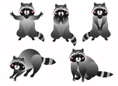 Tatlı çizgi film rakun vektör seti. Farklı duruşlarda rakun. Ayakta duran rakunlar, kucaklaşmalar, yıkanan ve oturan rakunlar. Çocuklar için orman hayvanları. Beyaz arkaplanda izole