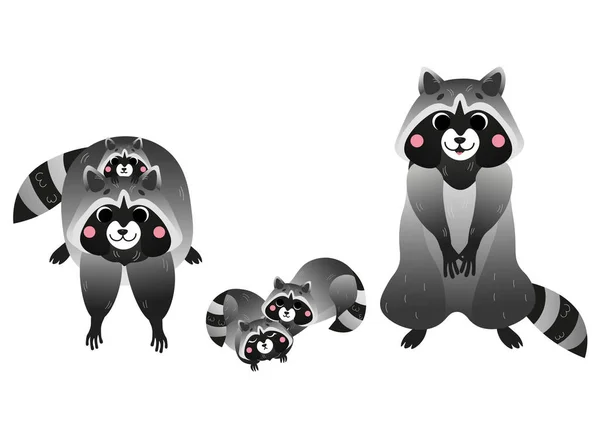Söt tecknad tvättbjörn familj vektor bild. Manliga och kvinnliga tvättbjörnar med sina små tvättbjörnar. Skogsdjur för barn. Isolerad på vit bakgrund. — Stock vektor