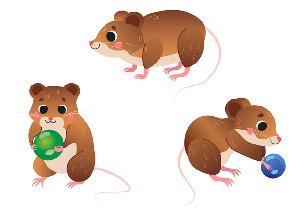 Cute cartoon vole vector set. Vole in different postures. Vole holding blueberry and green pea. Forest animals for kids. Isolated on white background — 스톡 벡터