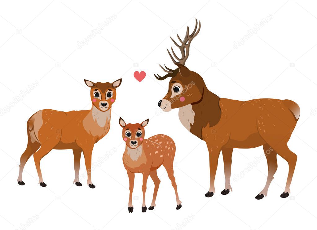 Cute cartoon deer family vector image. Male deer and female doe with little fawn. Forest animals for kids. Isolated on white background.