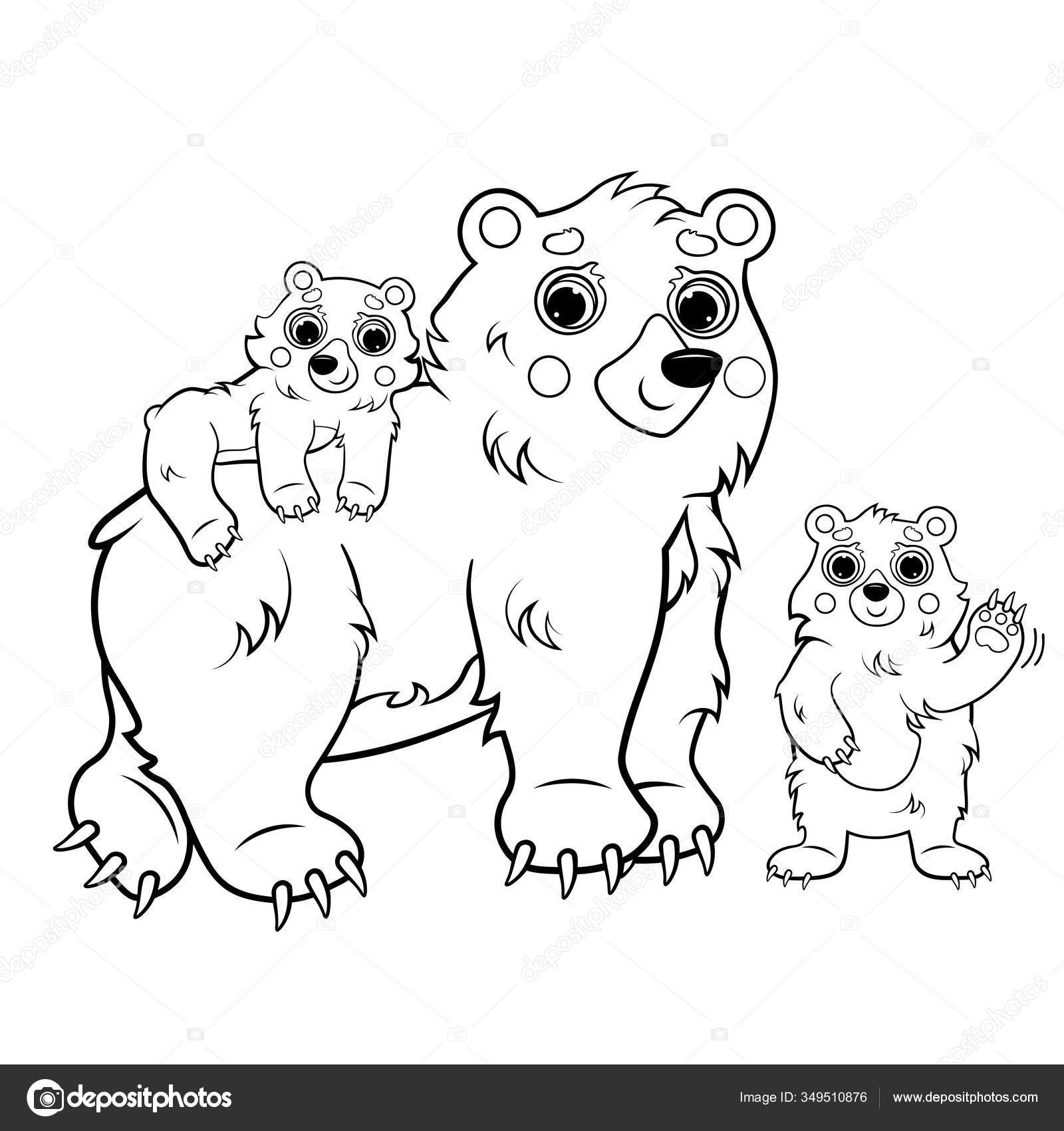 Imagem urso desenho colorir