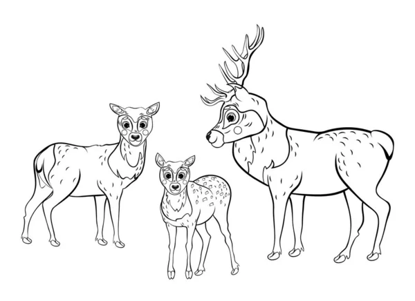 かわいい漫画の鹿の家族のベクトルの着色ページの概要 雄鹿と雌はほとんど羽を持たない 子供のための森の動物のぬり絵 白地に隔離された — ストックベクタ