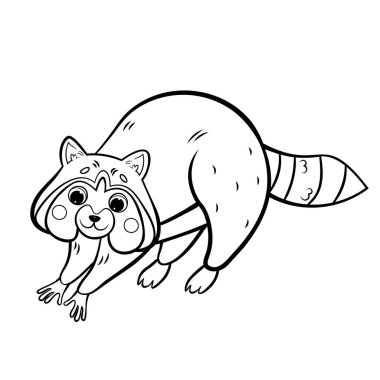 Çizgi film rakununun boyama sayfası. Beyaz arkaplanda vektör görüntüsü izole edildi. Çocuklar için orman hayvanları boyama kitabı..