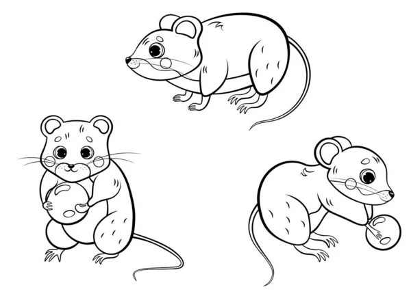 かわいい漫画の森の巻やマウスベクトルの着色ページのアウトラインセット さまざまな姿勢で進む ネズミがベリーを持ってる 子供のための森林動物 白地に隔離された — ストックベクタ