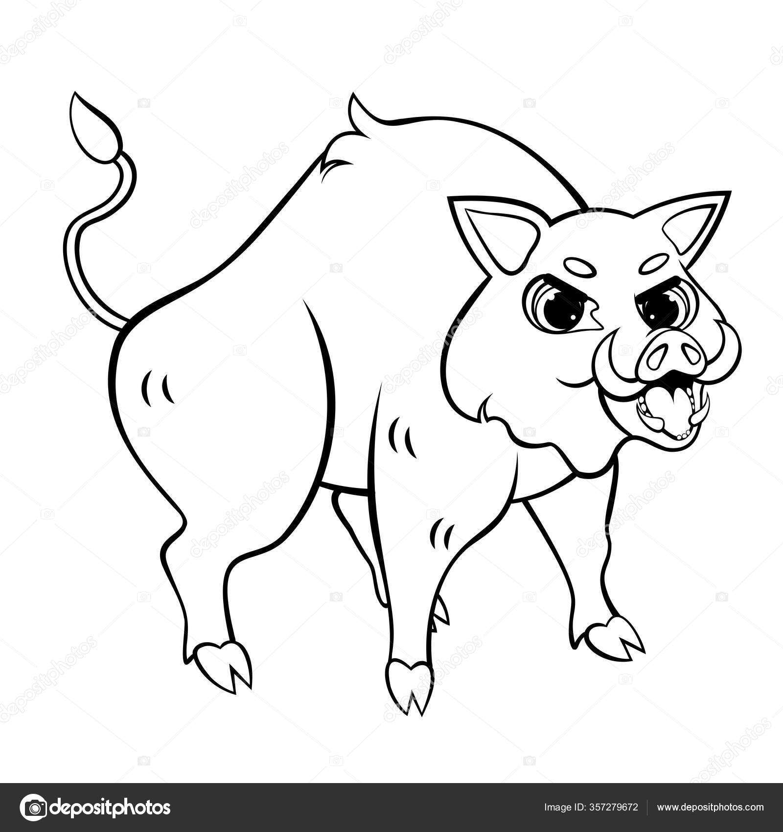 Wildschwein Sanglier Malvorlage Boar Zwijn Cinghiale Wildschweine