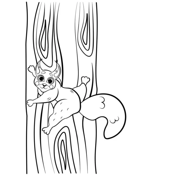 可爱的卡通松鼠爬上了树矢量着色的页面轮廓 给孩子们的森林动物着色书 因白人背景而被隔离 — 图库矢量图片