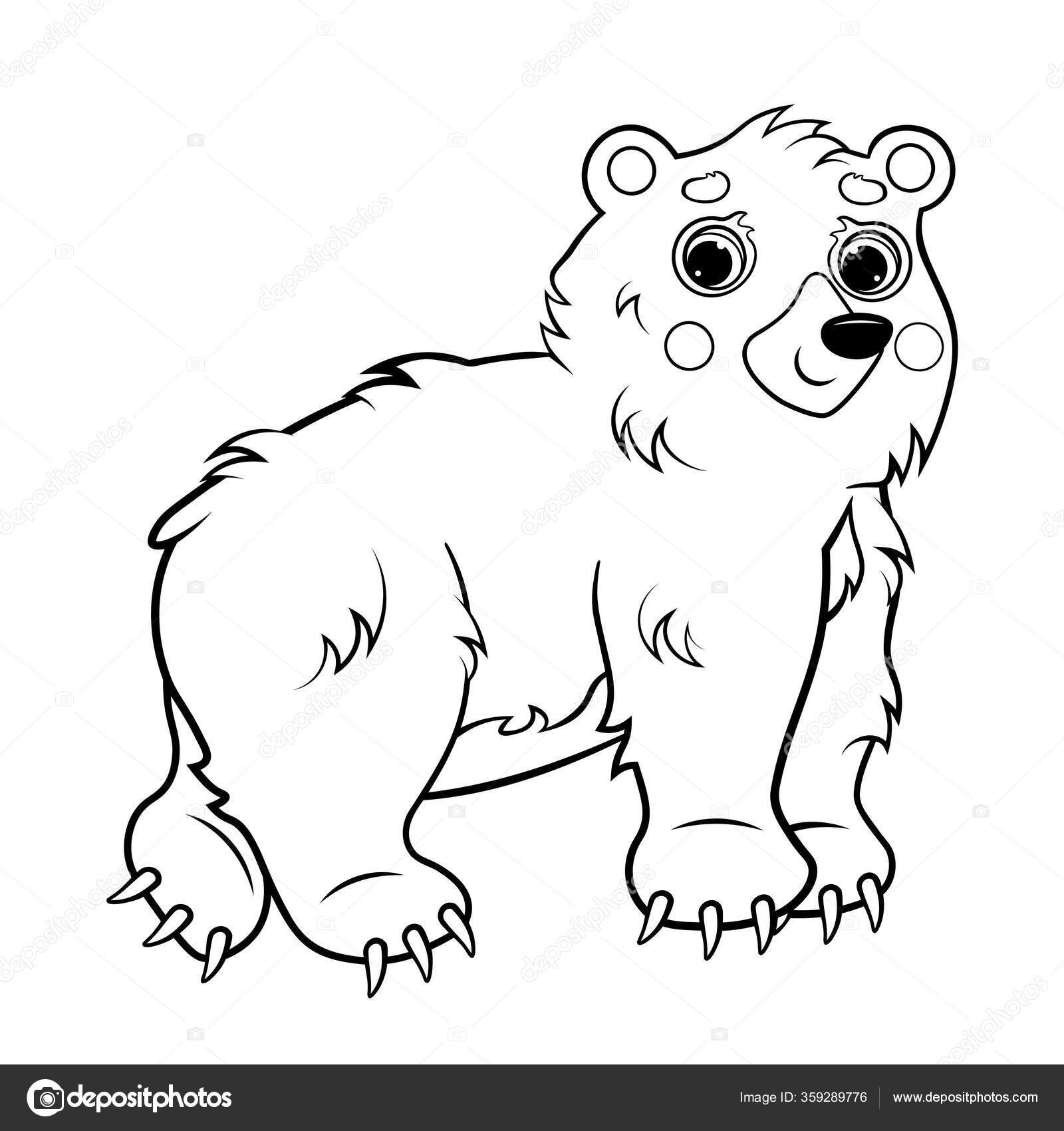 Desenho De Imagem Vetorial Um Animal Urso Páginas Para Colorir