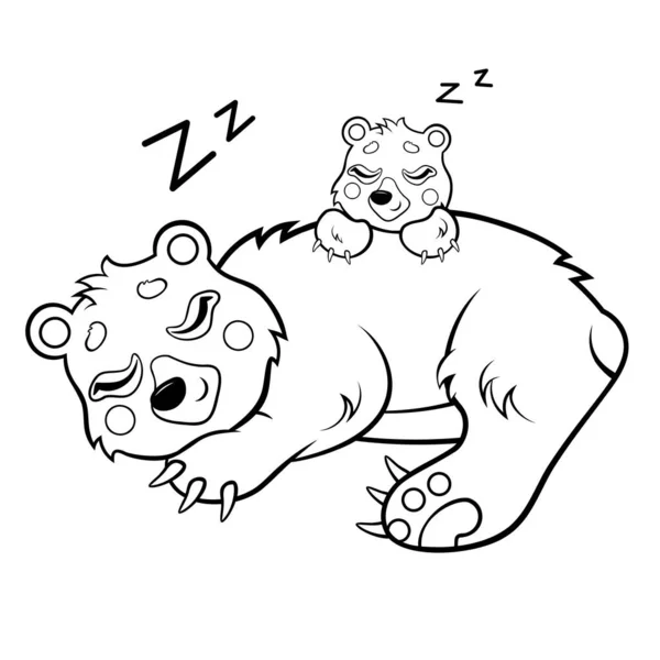 Nette Karikatur Schlafenden Bären Vektor Malseite Bärenmutter Mit Ihrem Jungtier — Stockvektor