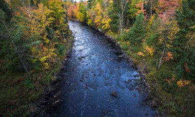 Michigan Sturgeon Nehri vahşi
