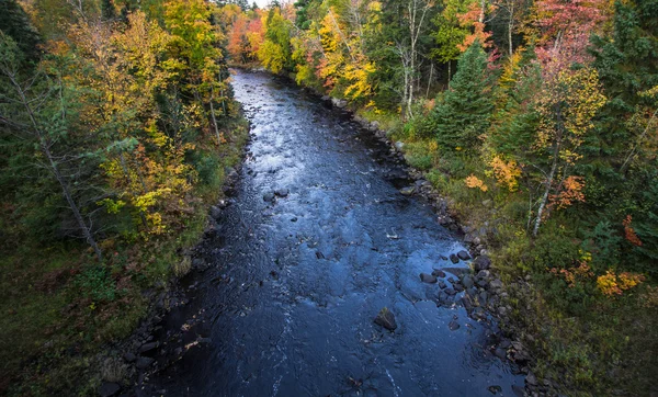 Michigan Sturgeon River Wilderness — Photo