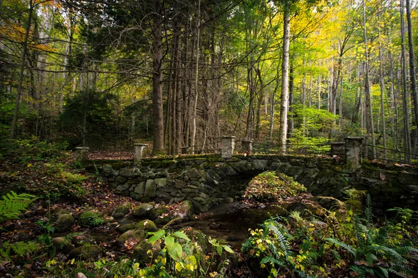Foresta autunnale con ponte pedonale in pietra nelle grandi montagne fumose — Foto Stock