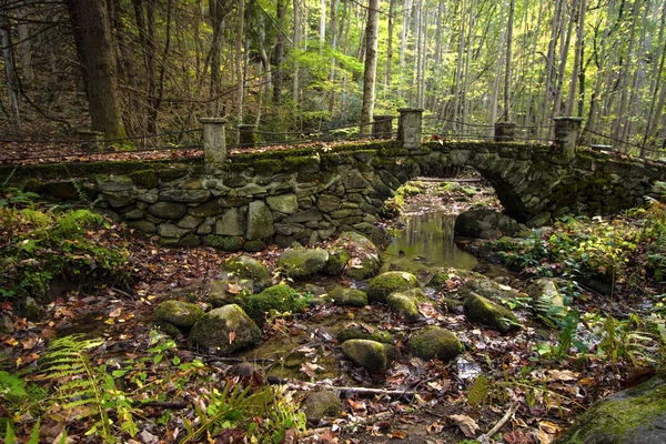 Ponte pedonale in pietra nel Parco Nazionale delle Grandi Montagne Fumate . — Foto Stock