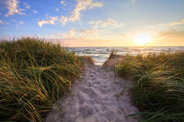 夏季日落海滩的路径 — 图库照片