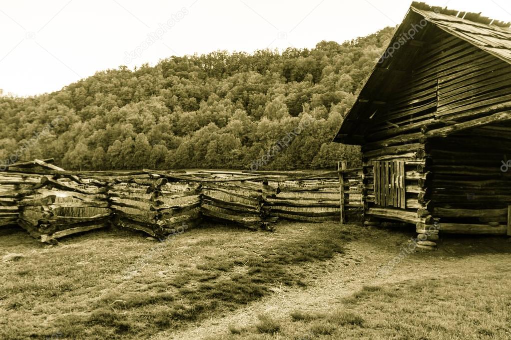 Pioneer Log Cabin Homestead