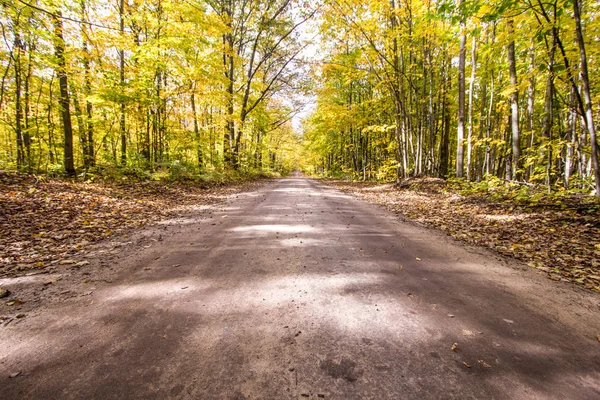 秋の色の道の旅 農村並木ハイアワサ国有林でミシガン州のアッパー半島の美しい緑豊かな紅葉に囲まれた道 — ストック写真