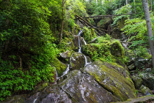 Great Smoky Mountains Waterfall Roadside Waterfall Named Place Thousand Drips — Stock Photo, Image