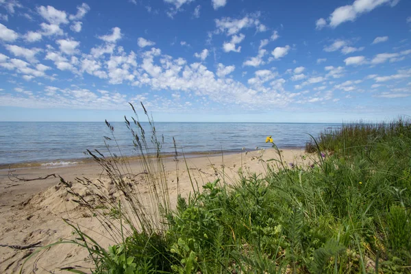 Scenic Sandy Beach Sfondo Spiaggia Soleggiata Sabbiosa Con Erba Duna — Foto Stock