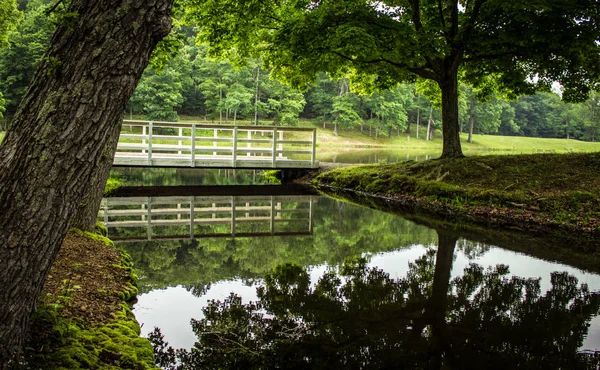 Schöne Ohio Waldstromlandschaft Wanderweg Überquert Eine Hölzerne Brücke Über Einen — Stockfoto